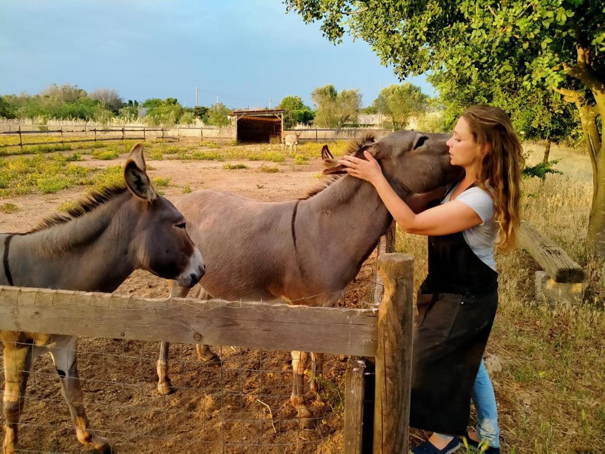 מלון Patù Volito Rural Experience מראה חיצוני תמונה